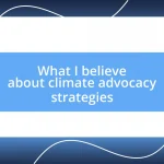 What I believe about climate advocacy strategies